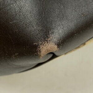 Gucci Interlocking Sukey Canvas GG Brown Handbag Beige